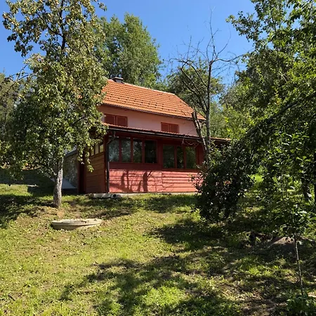 Markovic Holiday home